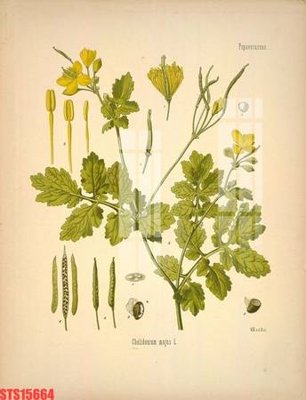 Tải file Tranh sơn dầu phương tây tổng hợp STS15664 (gốc) để in ấn ngay