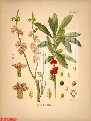 Download file gốc Tranh sơn dầu phương tây tổng hợp STS15669 (dùng cho in ấn)