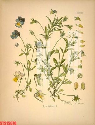 File tranh Tranh sơn dầu phương tây tổng hợp STS15670 (gốc) chủ đề con người