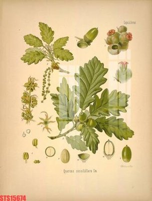 File gốc Tranh sơn dầu phương tây tổng hợp STS15674 (chuẩn CMYK) cho nhà in