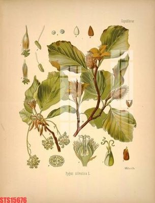 File gốc Tranh sơn dầu phương tây tổng hợp STS15676 (in tráng gương) hiện đại