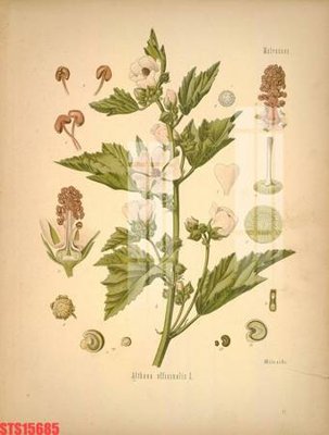 Tải file Tranh sơn dầu phương tây tổng hợp STS15685 (PSD) cho in tranh 3D