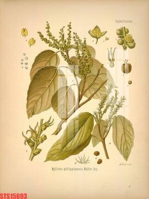 File gốc Tranh sơn dầu phương tây tổng hợp STS15693 (cho in 3D) độc đáo