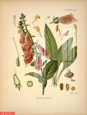 File gốc Tranh sơn dầu phương tây tổng hợp STS15706 (trang trí) cho phòng khách