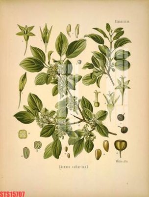 File ảnh Tranh sơn dầu phương tây tổng hợp STS15707 (gốc) trang trí khách sạn