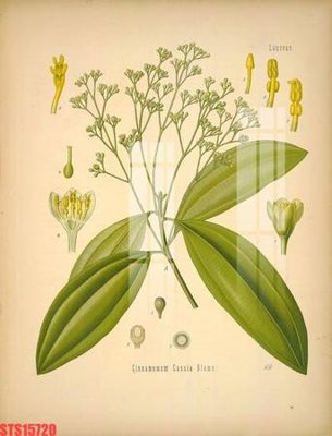 File gốc Tranh sơn dầu phương tây tổng hợp STS15720 (cho in 3D) độc đáo