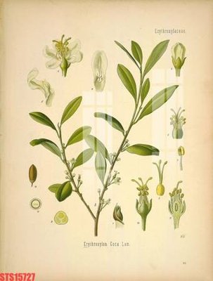 Tải file gốc in lụa Tranh sơn dầu phương tây tổng hợp STS15727 siêu nét