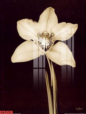 File in trần Tranh sơn dầu phương tây tổng hợp STS1576 (bản gốc) phong cảnh