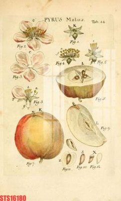 Download file gốc Tranh sơn dầu phương tây tổng hợp STS16180 (in mica) 3D