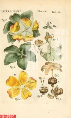 File tranh quảng cáo Tranh sơn dầu phương tây tổng hợp STS16358 (file gốc) chuyên nghiệp