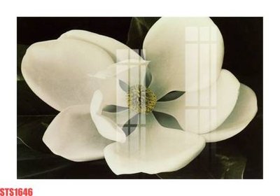 Tệp tin gốc Tranh sơn dầu phương tây tổng hợp STS1646 (chất lượng cao) Tranh sơn dầu phương tây tổng hợp STS1646