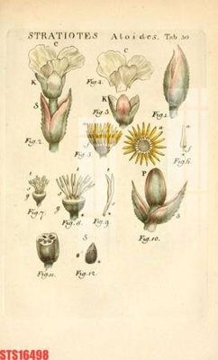 Tải file gốc Tranh sơn dầu phương tây tổng hợp STS16498 (in bạt) quảng cáo