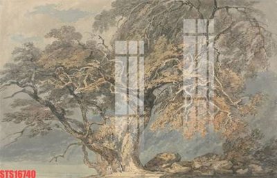 Tải file gốc in lụa Tranh sơn dầu phương tây tổng hợp STS16740 siêu nét