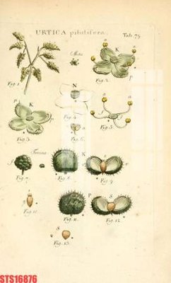 Tải file Tranh sơn dầu phương tây tổng hợp STS16876 (gốc) làm file quảng cáo