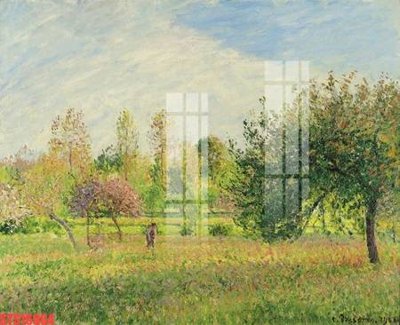 File tranh Tranh sơn dầu phương tây tổng hợp STS16964 (gốc) in film