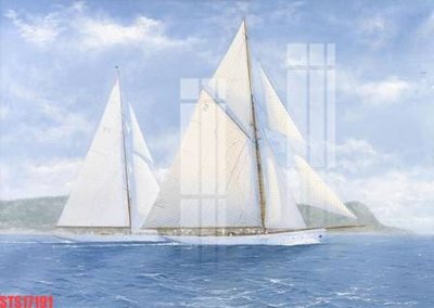 File tranh in trần 3D Tranh sơn dầu phương tây tổng hợp STS17191 (ảnh gốc)