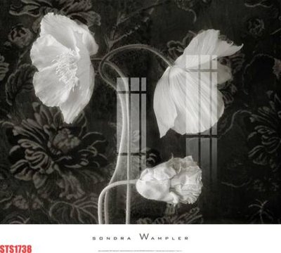 File tranh Tranh sơn dầu phương tây tổng hợp STS1738 (gốc) chủ đề động vật