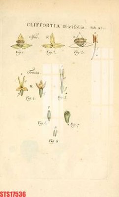 File tranh Tranh sơn dầu phương tây tổng hợp STS17536 (gốc) in film