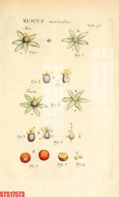 File PSD Tranh sơn dầu phương tây tổng hợp STS17573 (bản gốc) cho nhà in