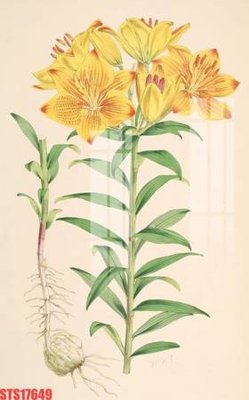 Ảnh mô tả file gốc in mica Tranh sơn dầu phương tây tổng hợp STS17649