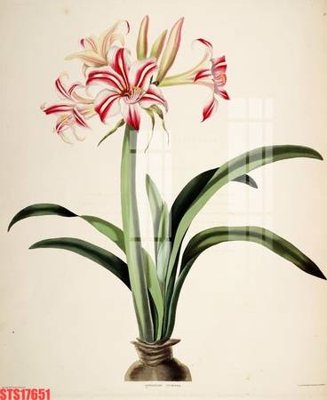 File PSD Tranh sơn dầu phương tây tổng hợp STS17651 (bản gốc) độ phân giải cao