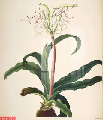 File tranh gốc Tranh sơn dầu phương tây tổng hợp STS17664 chủ đề hiện đại