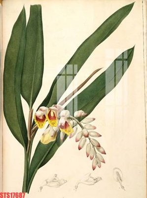 File in lụa Tranh sơn dầu phương tây tổng hợp STS17687 (phong cảnh) Tranh sơn dầu phương tây tổng hợp STS17687