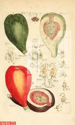 Tệp tin gốc Tranh sơn dầu phương tây tổng hợp STS17844 (dùng cho in) Tranh sơn dầu phương tây tổng hợp STS17844