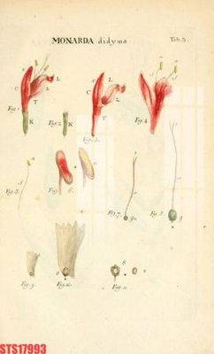 Tải file Tranh sơn dầu phương tây tổng hợp STS17993 (gốc) để in ấn ngay