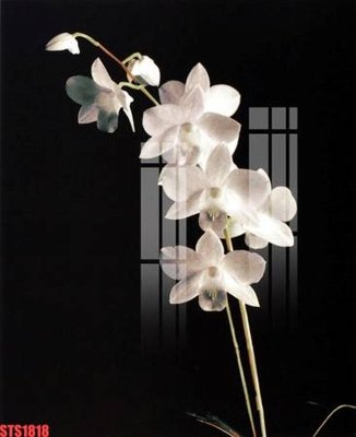 File tranh Tranh sơn dầu phương tây tổng hợp STS1818 (ảnh gốc) chi tiết rõ ràng