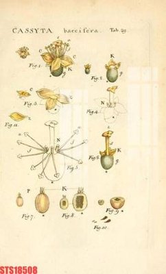 File gốc Tranh sơn dầu phương tây tổng hợp STS18508 (in tráng gương) sang trọng