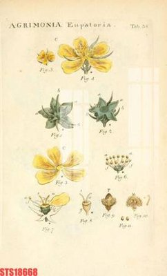 Chi tiết file tranh tráng gương Tranh sơn dầu phương tây tổng hợp STS18668 (ảnh gốc)