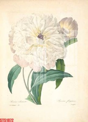 Hình ảnh file gốc Tranh sơn dầu phương tây tổng hợp STS1872 cho in UV