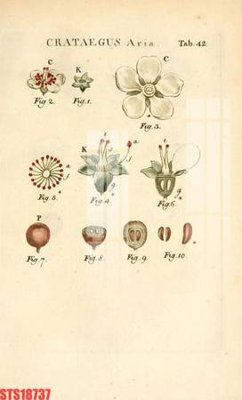 File gốc Tranh sơn dầu phương tây tổng hợp STS18737 (cho in ấn) từ kho Filetranh