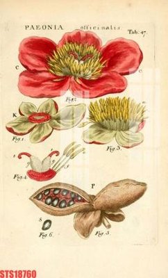 File tranh Tranh sơn dầu phương tây tổng hợp STS18760 (bản gốc) in lụa 5D