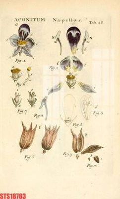 Download file gốc Tranh sơn dầu phương tây tổng hợp STS18783 (độ nét cao)