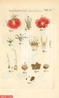 File gốc Tranh sơn dầu phương tây tổng hợp STS18979 (cho in ấn) từ kho Filetranh