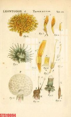 Mua file gốc Tranh sơn dầu phương tây tổng hợp STS19094 (in ấn) tại Filetranh.com