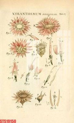 File tranh Tranh sơn dầu phương tây tổng hợp STS19150 (ảnh gốc) chi tiết rõ ràng