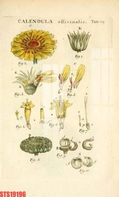 File ảnh Tranh sơn dầu phương tây tổng hợp STS19196 (gốc) in PP, decal