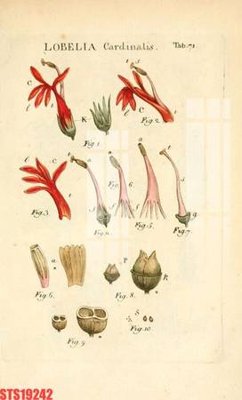 Tải file Tranh sơn dầu phương tây tổng hợp STS19242 (gốc) in nhanh