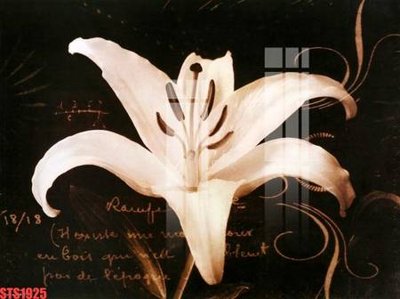 File in ấn Tranh sơn dầu phương tây tổng hợp STS1925 (bản gốc) chất lượng cao