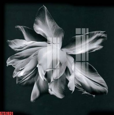 File tranh Tranh sơn dầu phương tây tổng hợp STS1931 (ảnh gốc) độ nét vượt trội