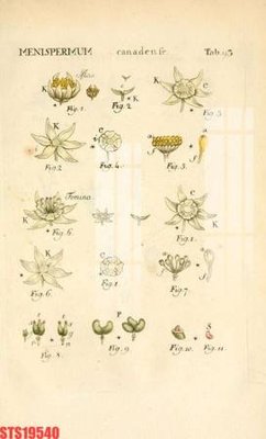 Tệp tin gốc Tranh sơn dầu phương tây tổng hợp STS19540 (chất lượng cao) Tranh sơn dầu phương tây tổng hợp STS19540