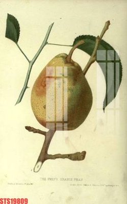 File gốc Tranh sơn dầu phương tây tổng hợp STS19809 (phiên bản chuẩn) để in ấn