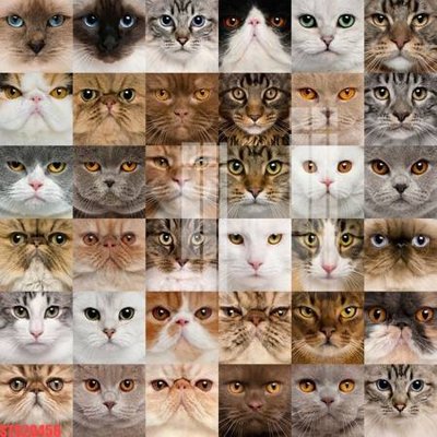 File tranh Tranh sơn dầu phương tây tổng hợp STS20456 (bản gốc) treo quán cafe