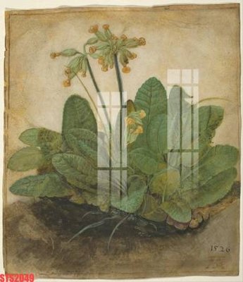 File tranh Tranh sơn dầu phương tây tổng hợp STS2049 (file gốc) chủ đề phong thủy