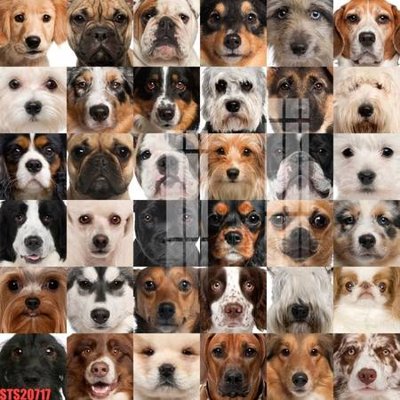 Tải file gốc Tranh sơn dầu phương tây tổng hợp STS20717 (bản PSD) đầy đủ layer