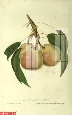 Tải file gốc Tranh sơn dầu phương tây tổng hợp STS20842 (để in lụa)