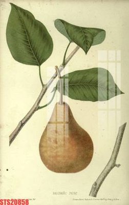 Chi tiết file tranh tráng gương Tranh sơn dầu phương tây tổng hợp STS20858 (ảnh gốc)